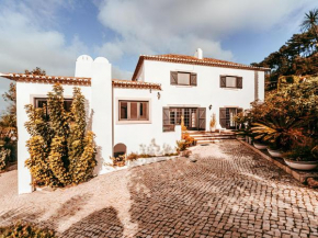 Oliveira's House By Gt House